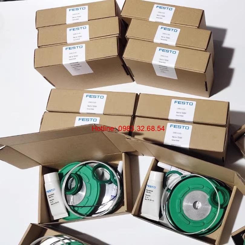 Kit sửa xilanh thủy lực DNC